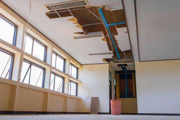 Best Ceiling water damage repair  in Meadowood, PA