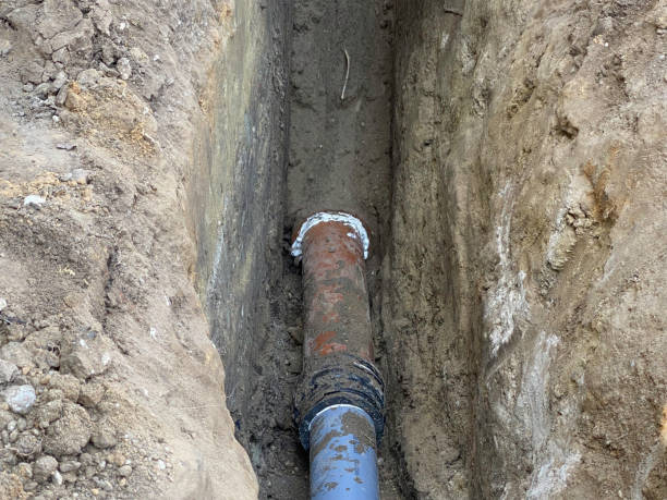 Best Professional water damage repair  in Meadowood, PA
