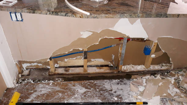 Best Local water damage restoration  in Meadowood, PA