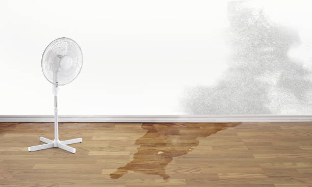 Best 24-hour water damage restoration  in Meadowood, PA