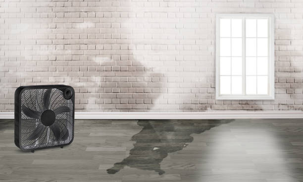 Best Water damage restoration experts  in Meadowood, PA