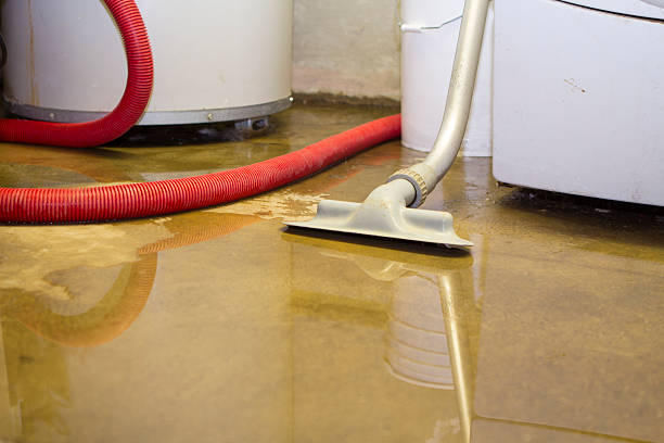 Best Carpet water damage restoration  in Meadowood, PA