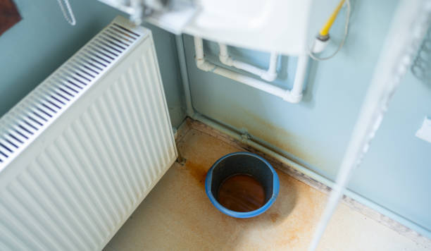 Best Water damage cleanup near me  in Meadowood, PA