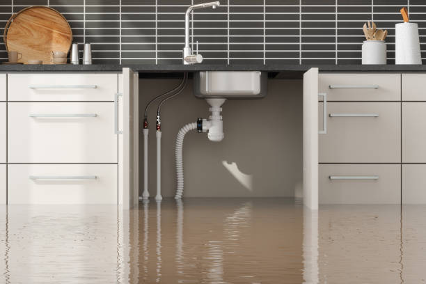 Best Fire Damage Restoration  in Meadowood, PA
