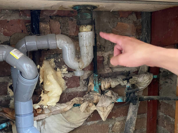 Best Flood restoration services  in Meadowood, PA