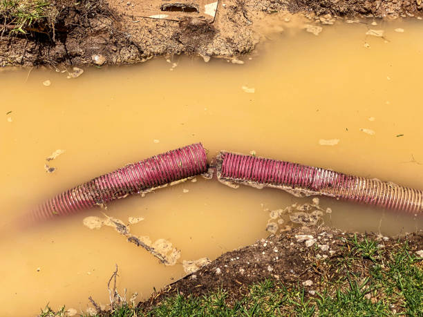 Best Water damage restoration near me  in Meadowood, PA