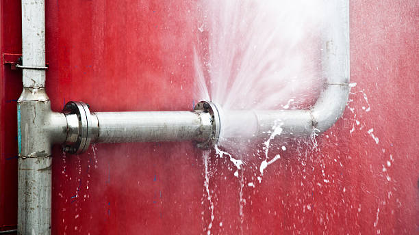 Best Mold removal after water damage  in Meadowood, PA